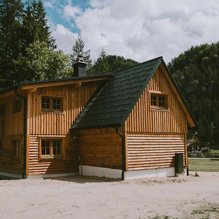 Naturparkresort S'Keuscherl Wildalpen Exteriör bild