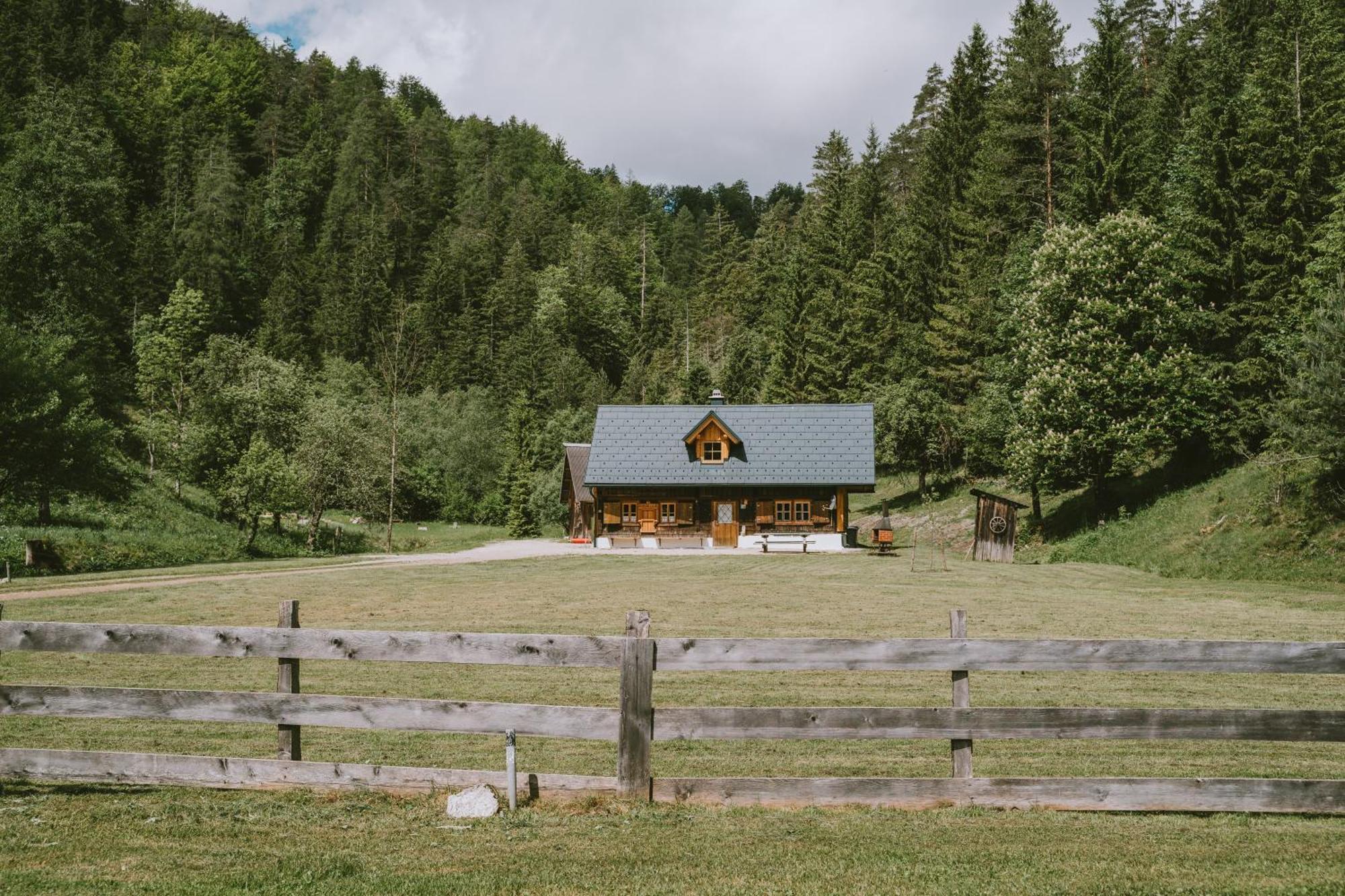 Naturparkresort S'Keuscherl Wildalpen Exteriör bild